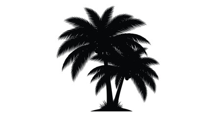 Fototapeta premium Palm tree silhouette against a white background tropical vegetation design