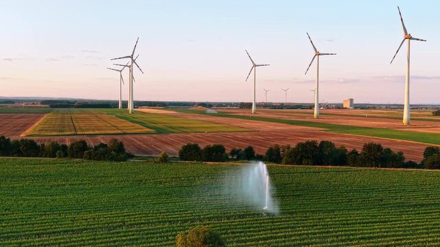 Elevated view of water sprinkler jet in green field with wind turbines. A high fountain of water irrigates crops in a green patch among rural farmland at dusk.