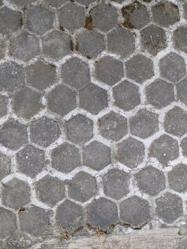 Paving blocks with a hexagonal shape arranged neatly.

The paving surface has a rough, dark gray texture with contrasting white cement lines between the blocks.