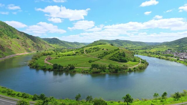 The beautiful Moselle Loop at Bremm, Germany. Mosel river with green vineyards and old ruins during summer.