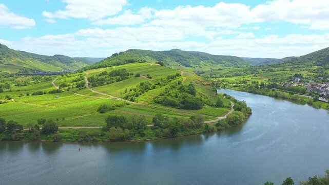 Slow pan over the beautiful green vineyards of the Moselle Loop at Bremm, Germany
