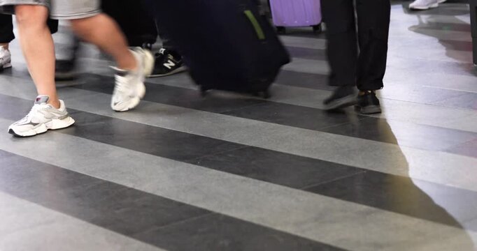 A white domestic dog on a leash with its owner near the baggage checkpoint at the train station entrance. Traveling with a pet.