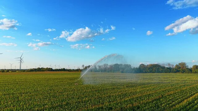Water sprinkler system irrigating agricultural crop rows. A powerful stream arc sprays over green plants under a vibrant blue sky with fluffy white clouds.