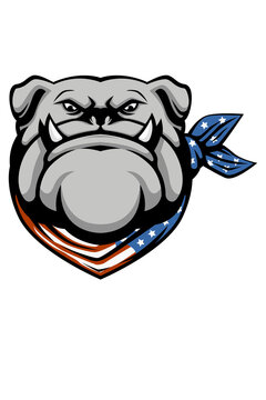 Dog buldog