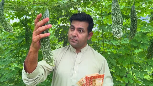 A vendor proudly displays fresh bitter gourds (Karela) while holding up earned cash to the camera, symbolizing successful field farming profits and the value of agricultural labor.