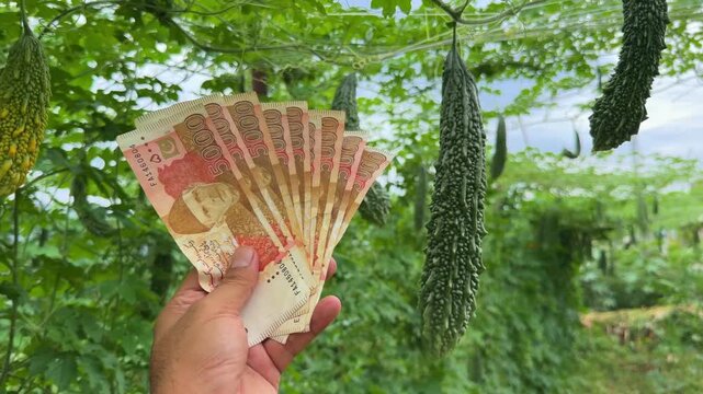 A farmer proudly holds up a 5,000 denomination Pakistani banknote against a wide, green crop field during harvest, symbolizing agricultural success, financial reward, and the dignity of rural labor.