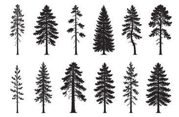 Obraz premium Forest Pine Tree Silhouettes Collection for Architectural CAD Renderings and Landscape Design