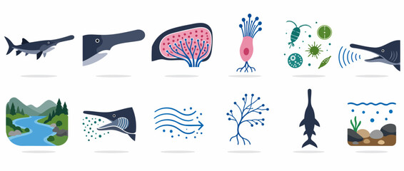Obraz premium Colorful illustrated marine and biological life forms.