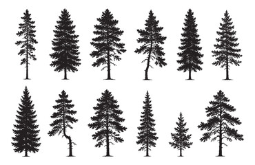 Obraz premium Tall Pine Tree Silhouettes Collection for CAD Architectural Elevation and Landscape Design