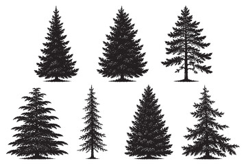 Obraz premium Conifer Pine Tree Silhouettes Set in CAD Line Art Style for Architecture and Landscape Elevation