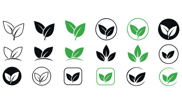 Two leaves icon. Leaf symbol. Nature organic isolated illustration. Vegetarian or vegan label. Green eco logo. Two green leaves icon.