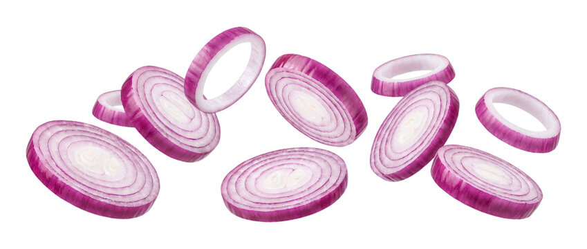 Falling sliced red onion rings isolated on transparent background