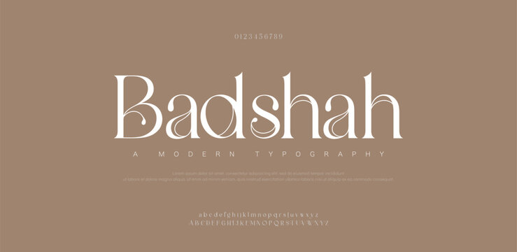 Elegant wedding alphabet letters logo font and number. Typography Luxury classic lettering serif fonts decorative vintage retro concept. vector illustration
