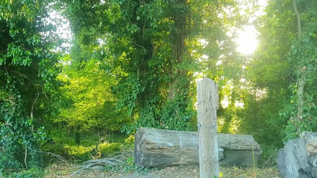 7th June, 2026. Time Lapse Footage of Travel on English Roads Travel Through Rural A and B Countryside. Car Window Mounted Camera Wide Angle Footage of Car Travel on British Country Road and Highways 