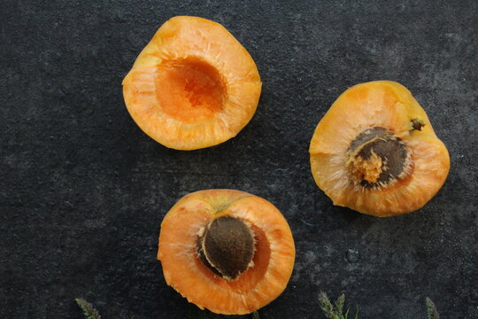 Three fresh apricot halves with pits on a dark textured stone background, captured in a minimalist flat lay composition with natural lighting.