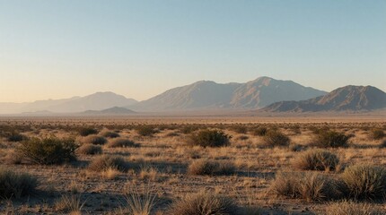 Naklejka premium Vast arid desert landscape stretches towards hazy mountains under clear sky. Dry brush and grasses dot the terrain, showing an open, remote, and peaceful natural environment.