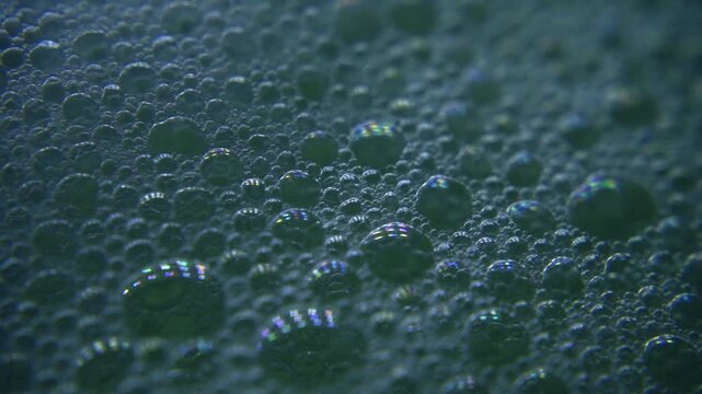 Extreme close-up of dark soap foam. Countless iridescent bubbles are slowly moving and popping, creating a shimmering, colorful texture