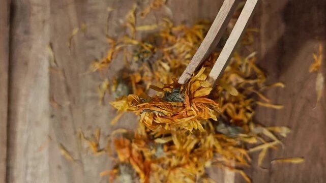 ​Wooden tongs picking up dried calendula flowers close up. Organic marigold tea preparation, herbal medicine and holistic wellness video.
