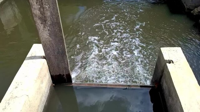 Motion shot of old rusty metal sluice gate mechanism controlling water stream flow in concrete rural irrigation channel. Agricultural infrastructure details. High quality 4K video.
