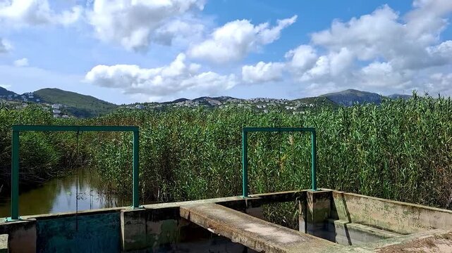 Panning slow motion video of metal sluice gate dam and irrigation channel surrounded by green reeds and countryside nature reserve. Agricultural water management system. High quality 4K video.