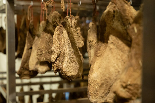 Italian guanciale curing in meat drying room