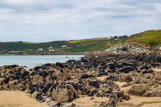 Rugged rocky beach coastline featuring dark jagged stones covered in mussels and barnacles resting on golden sand. Calm ocean waters lead to scenic green hills and distant cottages under a cloudy sky