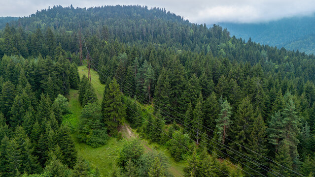 Electricity transmission pylon supporting power lines cutting a swathe through a vast evergreen forest
