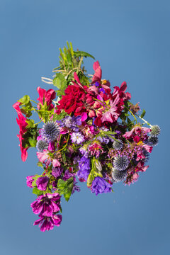 artwork with colorful summer flowers from garden on mirror and their reflection with blue sky