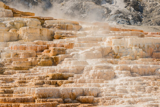 steaming Mammoth hot spring geothermal terraces in Yellowstone
