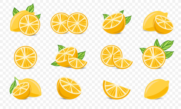 Lemon 3. Vector Set yellow lemon branches with green leaves. Mediterranean illustration lemon isolated on white background. Italian floral summer. 