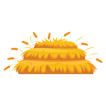 Agriculture farming haystack yellow concept with harvest crop dry grass and wheat designed in cartoon flat vector illustration style