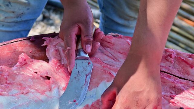 A man's hands cutting pork with a knife.