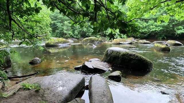 La rivi&egrave;re du L&eacute;guer &agrave; Tonqu&eacute;dec en Bretagne