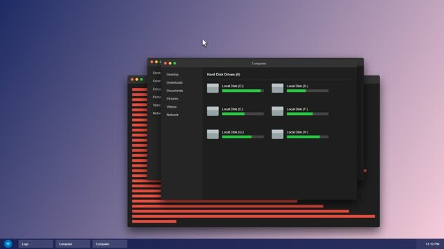 Computer desktop interface showing hard disk drive storage and data bars