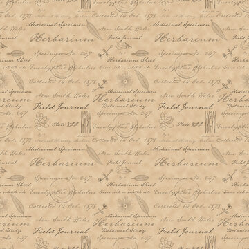 Botanical Herbarium Script on Vintage Parchment Seamless pattern. Victorian Eucalyptus Herbarium Collection coordinate Pattern.