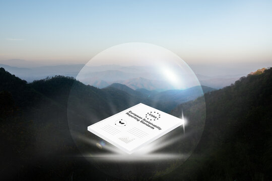 ESRS and European Sustainability Reporting Standards text and icons on natural background.