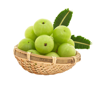 Phyllanthus emblica or Indian Gooseberry fruits and green leaves on transparent background.