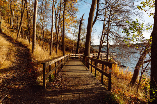 Autumn boardwalk trail along Lilla Vartan in Lidingo