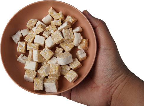 holding a tempeh. raw diced tempeh pieces on brown plate. cut tempe blocks. resh soybean tempeh cubes