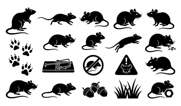 Black white rat mouse rodent pest control paw print and wildlife silhouette CAD vector collection