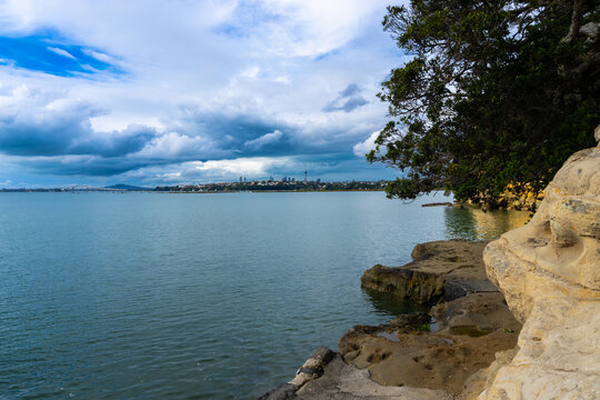 View across Waitemata Harbour to Auckland from waterfront below Coyle Park