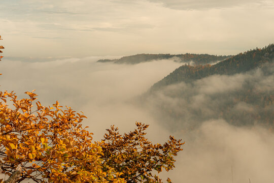 Autumn fog rolling over colourful forested mountain valley
