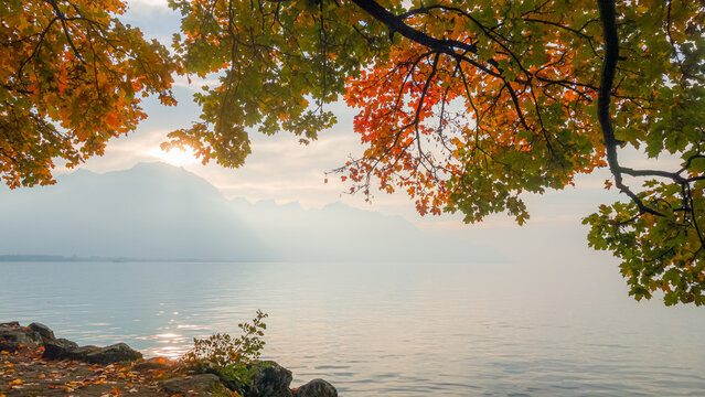 Colourful autumn leaves framing misty mountain lake view
