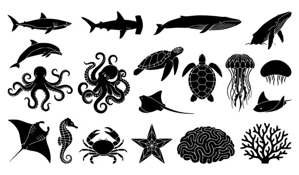 Marine sea animal silhouettes with shark whale octopus turtle dolphin jellyfish crab and coral CAD vector collection