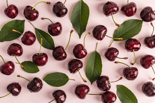 Fresh ripe cherries with water drops and green leaves