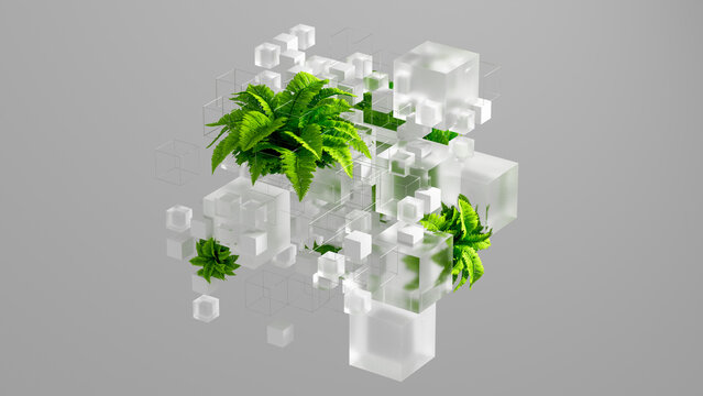 Fern plant cubes create a technology background with nature elements