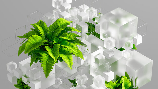Fern plant cubes create a technology background with nature elements