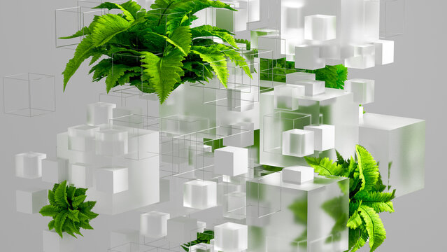 Fern plant cubes create a technology background with nature elements