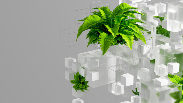 Fern plant cubes create a technology background with nature elements