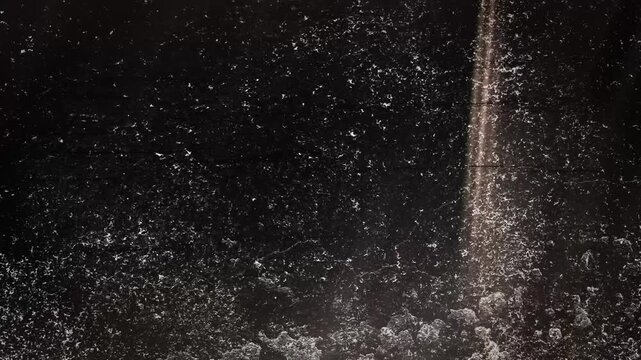 Cinematic Black and White Vintage Film Scratch Overlay